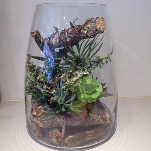 Image-9