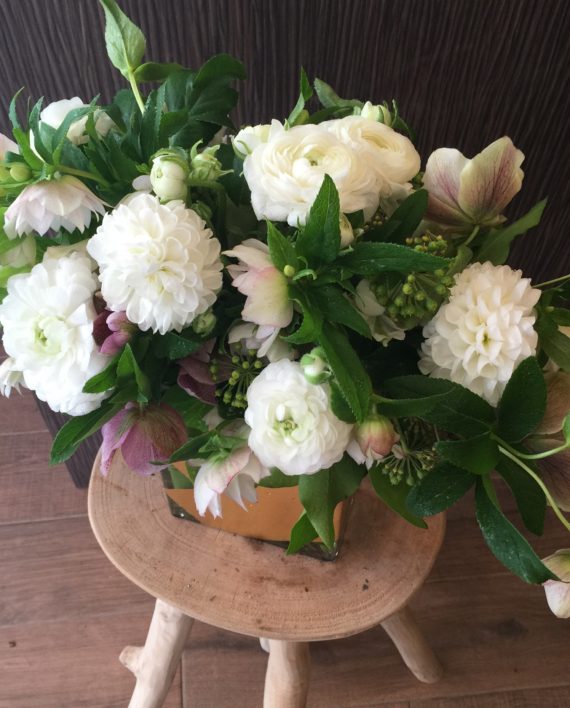 IMG_0336-e1423087080124