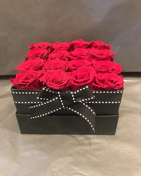 IMG_5254-e1517256489188