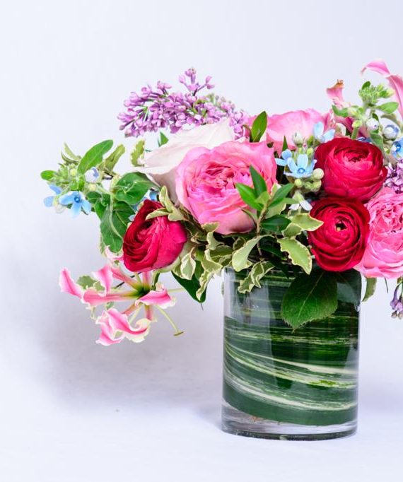 6ab7d6d8-6b68-4c58-a34e-392ad8796ba7